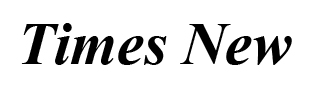 Times New Roman Italic Bold Bold